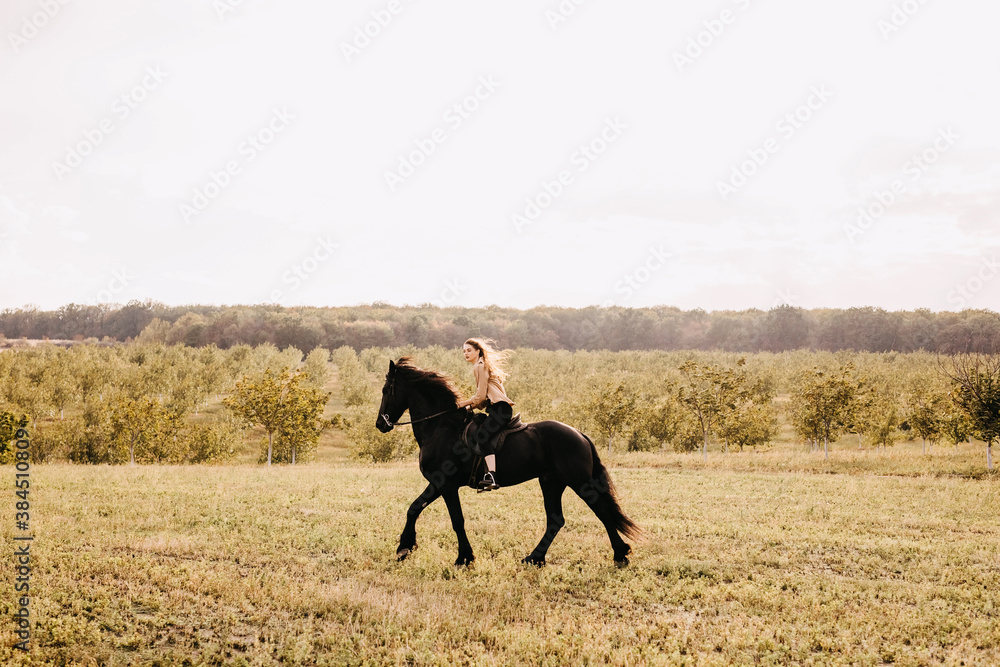 Young woman riding a black friesian horse, outdoors. Young woman riding a black friesian horse, outdoors.