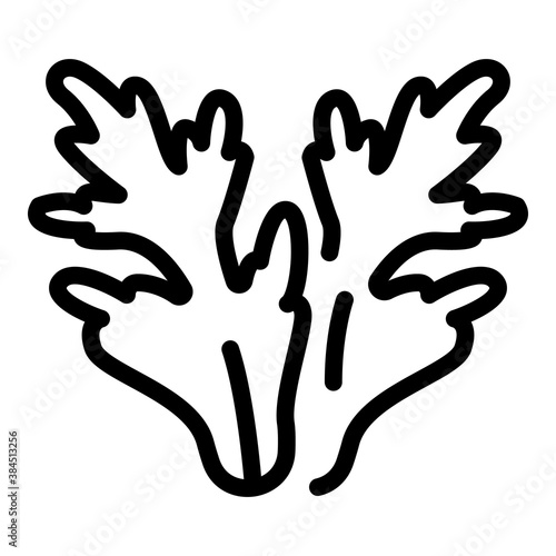 Fresh arugula icon. Outline fresh arugula vector icon for web design isolated on white background