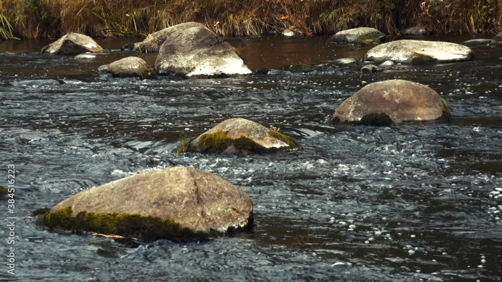Fish spawning river, shallow rocky with a large current Fish spawning river, shallow rocky with a large current