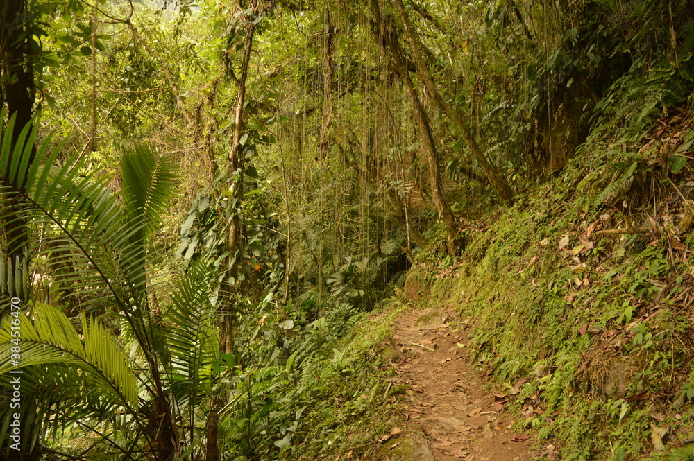 Hiking to Ciudad Perdida (The Lost City) in Colombias jungle and mountains of Sierre Nevada de Santa Marta Hiking to Ciudad Perdida (The Lost City) in Colombias jungle and mountains of Sierre Nevada de Santa Marta