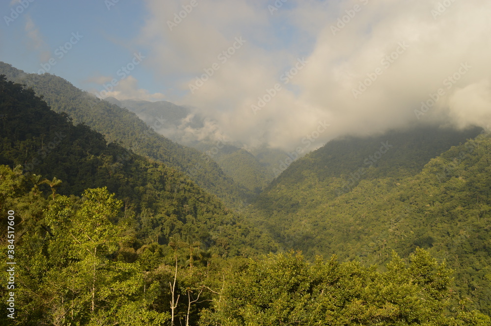 Fototapeta premium Hiking to Ciudad Perdida (The Lost City) in the jungle and mountains of Colombias Sierra Nevada de Santa Marta