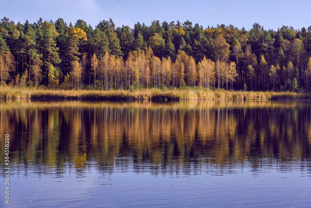 Beautiful landscape view to the lake in the forest with bright green and  yellow trees  reflected in a clear blue water at sunny autumn day