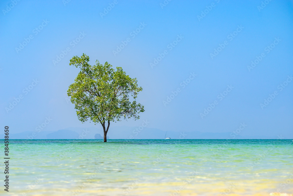 klong muang beach in Krabi klong muang beach in Krabi