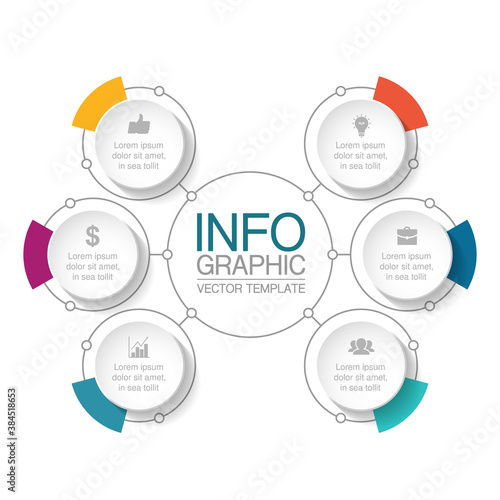 Vector infographic template, circle with 6 steps or options. Data presentation, business concept design for web, brochure, diagram.