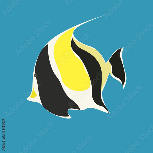 Tropical fish Moorish idol black and orange