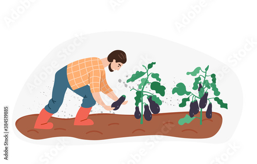 Organic production. Man growing eggplant isolated on white background. Process of local growing in modern style. Organic healthy food. Perfect for poster, website, brochure. Flat Vector Illustration