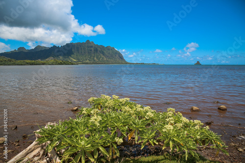 Kualoa coean view from Waiahole Beach Park, oahu, hawaii photo