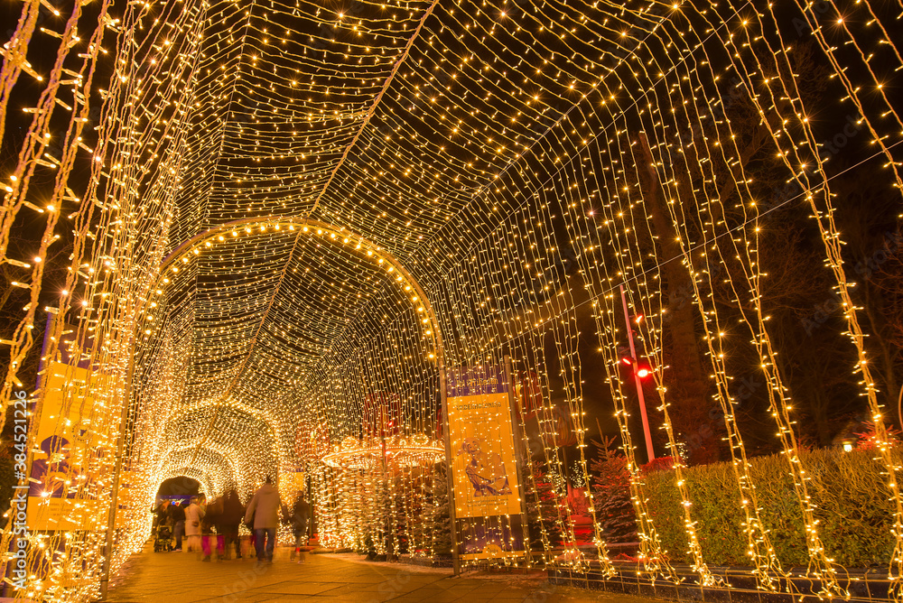 A christmas decoration lights up in a park, Jutland, Denmark
