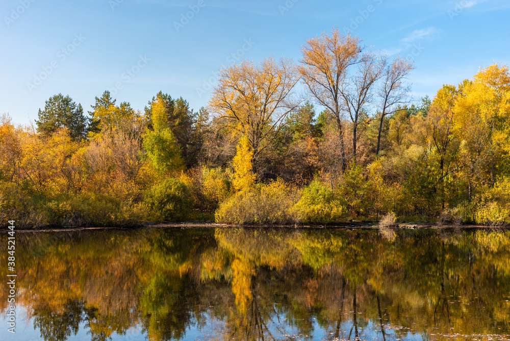 A beautiful autumn landscape - the shore of a forest lake, overgrown with trees with autumn golden leaves and a blue sky that are reflected in clear water