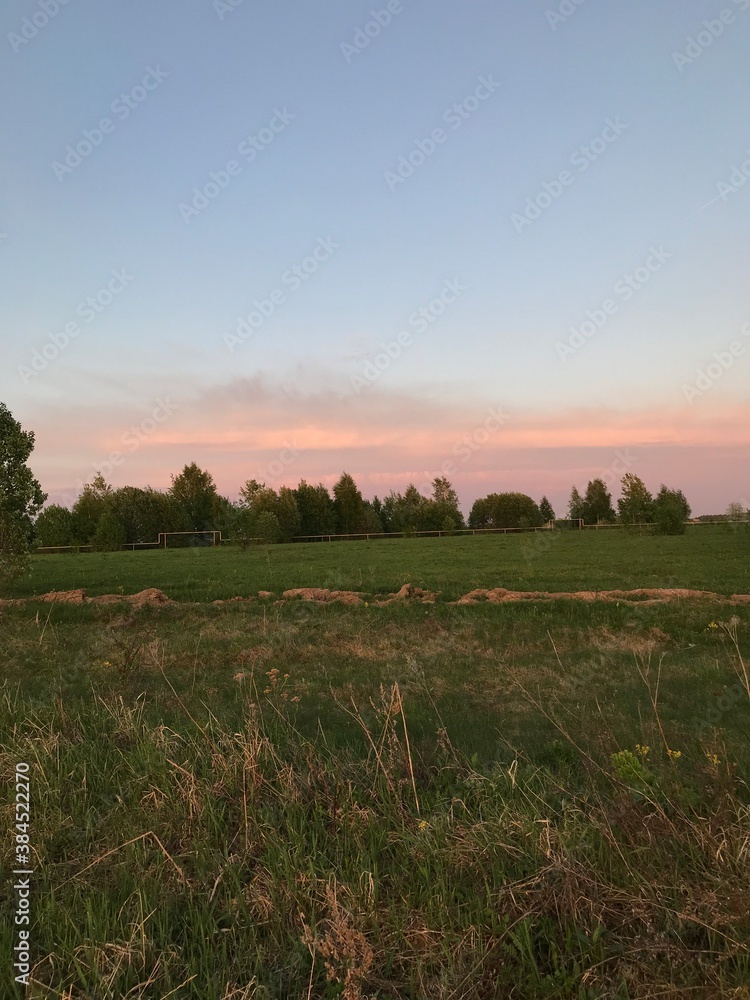 Fototapeta premium sunset over the field