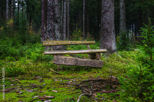 Sitzbank aus Holz im Wald