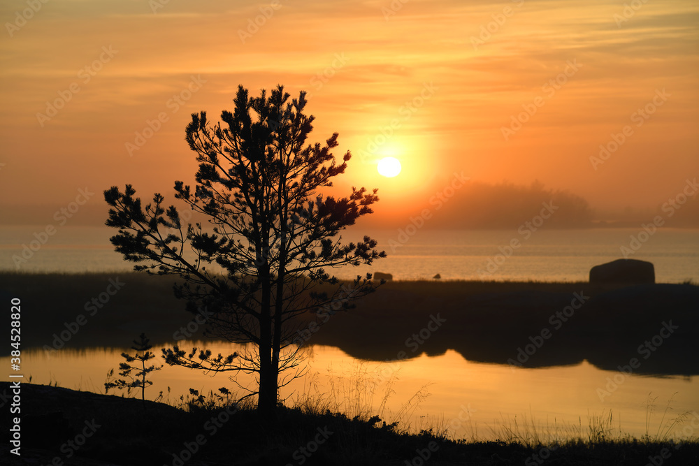 Sunrise on the White Sea in Karelia, Russia