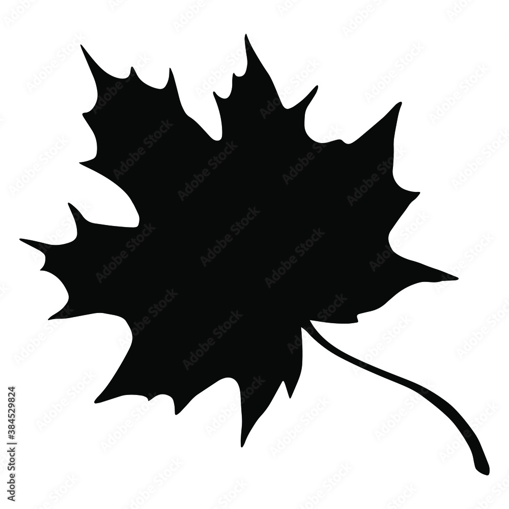 Autumn leaf silhouette isolated on white background. Vector illustration of foliage in black and white. Autumn leaf silhouette isolated on white background. Vector illustration of foliage in black and white.