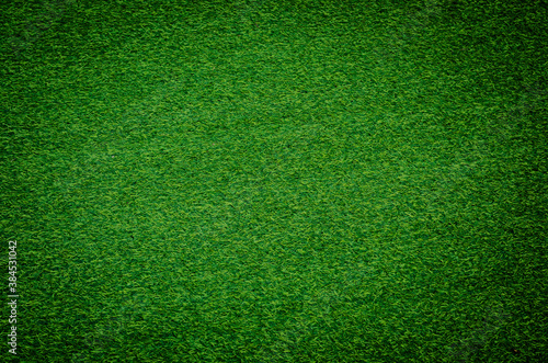Green grass texture for background. Green lawn pattern and texture background. 