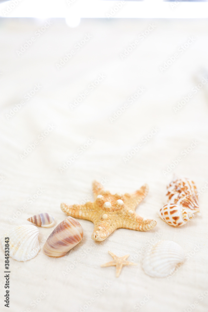 background of Summer holiday Ready vacation relaxing on beach background for copy space background of Summer holiday Ready vacation relaxing on beach background for copy space
