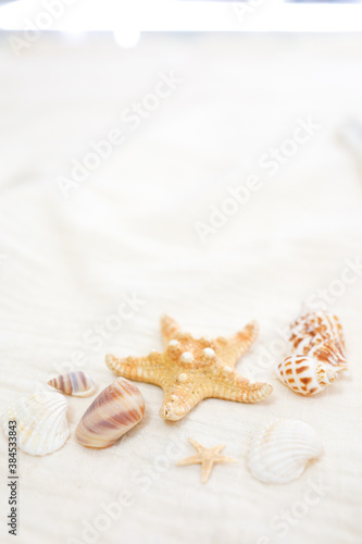 background of Summer holiday Ready vacation relaxing on beach background for copy space