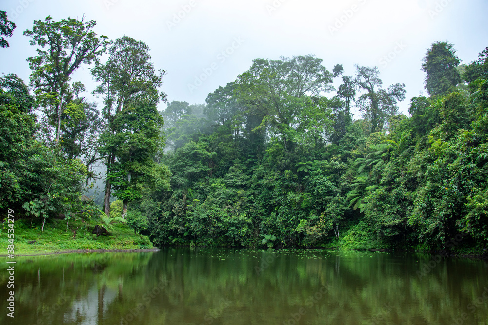 lake in the middle of the forest. Early spring in the mountains. The calm surface of the lake reflects dense forest. Magical and mysterious