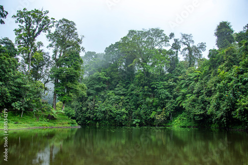 lake in the middle of the forest. Early spring in the mountains. The calm surface of the lake reflects dense forest. Magical and mysterious