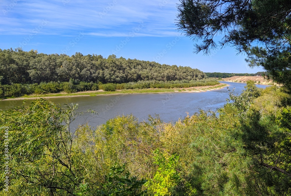 Obraz premium summer