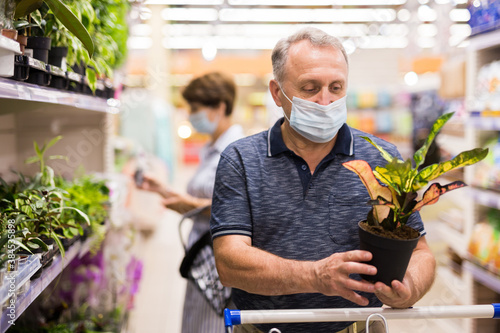 Pensioner in protective mask chooses an indoor flower in store