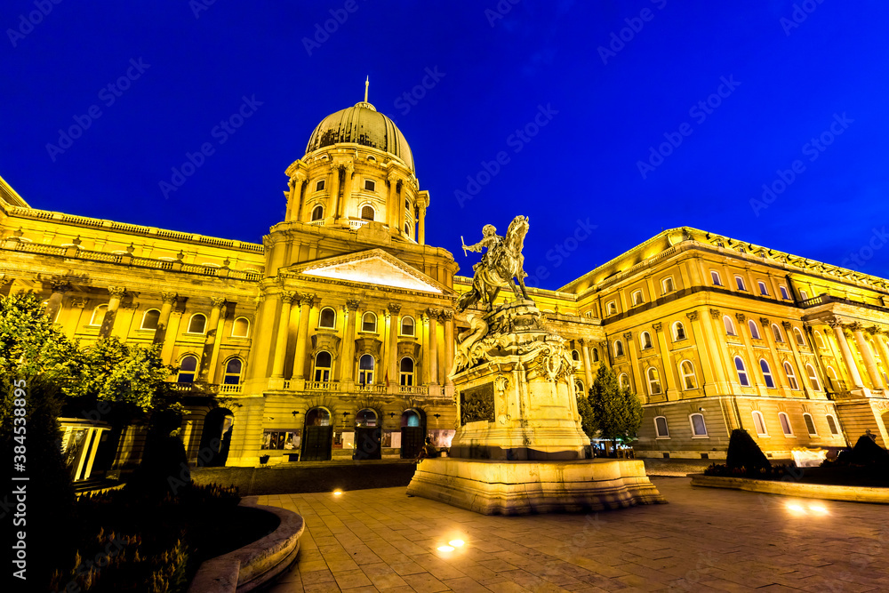 Fototapeta premium royal castle in budapest at night, hungary
