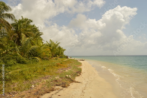 Fototapeta Naklejka Na Ścianę i Meble -  The picture perfect beaches of the beautiful Bocas Del Toro islands in Panama, Caribbean
