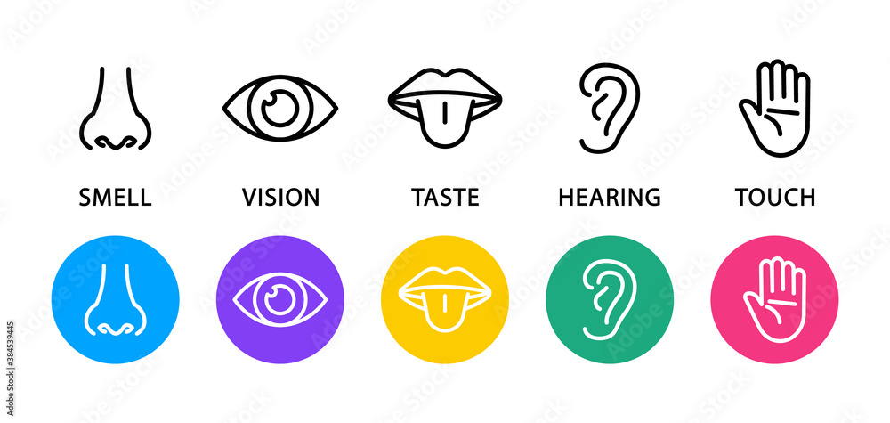 Set of five human senses flat icons. Vision, hearing, taste, smell, touch.
