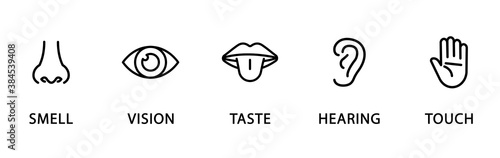 Five human senses linear icons. Vision, hearing, taste, smell, touch.