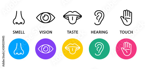 Set of five human senses flat icons. Vision, hearing, taste, smell, touch.