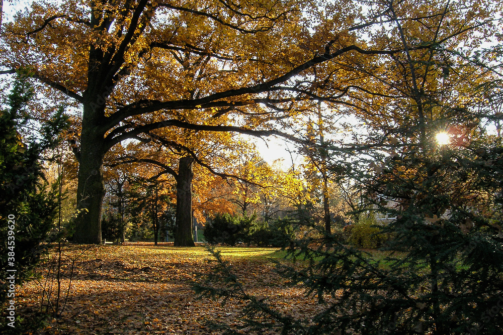 Obraz premium Fichtepark Dresden