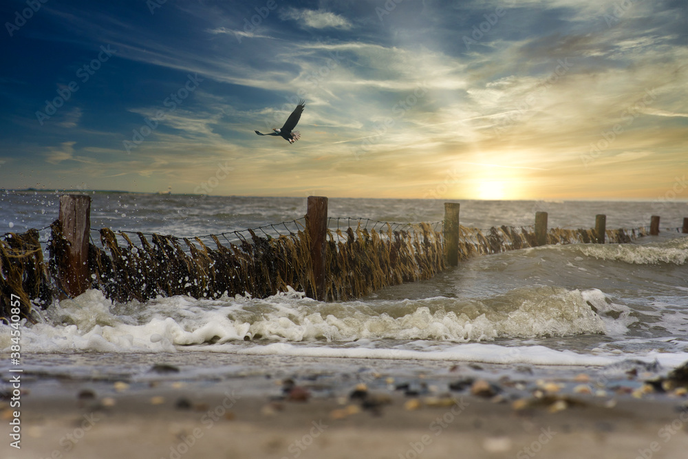 Nordsee Wattenmeer