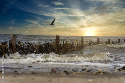 Obraz na płótnie Nordsee Wattenmeer w salonie