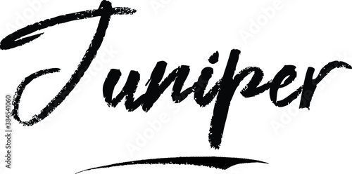Juniper-Female name Brush Calligraphy on White Background