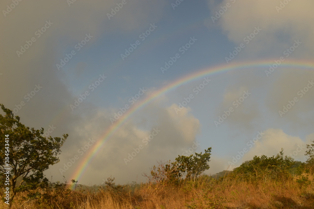 The stunning and lush landscapes of Costa Rica, Central America The stunning and lush landscapes of Costa Rica, Central America