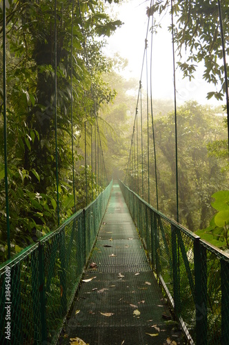 The flora and fauna in the cloud forests and volcanoes of Costa Rica, Central America photo
