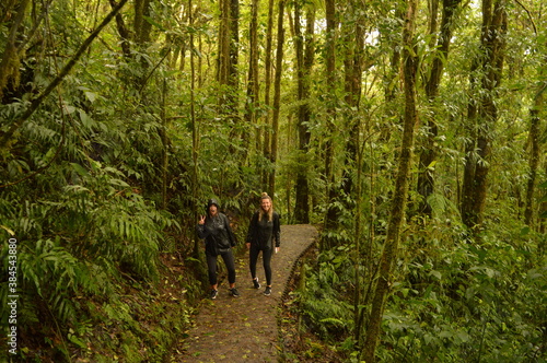 The flora and fauna in the cloud forests and volcanoes of Costa Rica  Central America