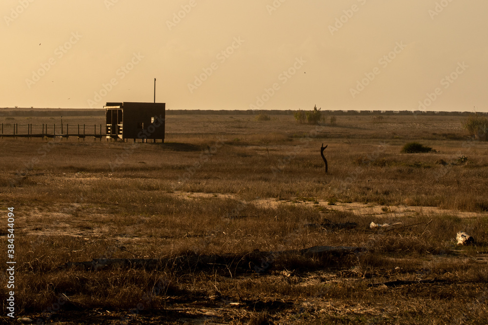 Fototapeta premium the landscape of a bird observatory