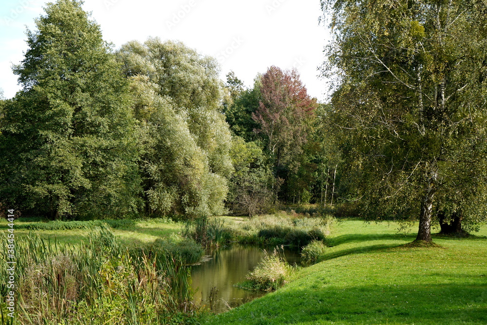 A small pond with decorative sticks around it, beautiful willows. A small pond with decorative sticks around it, beautiful willows.