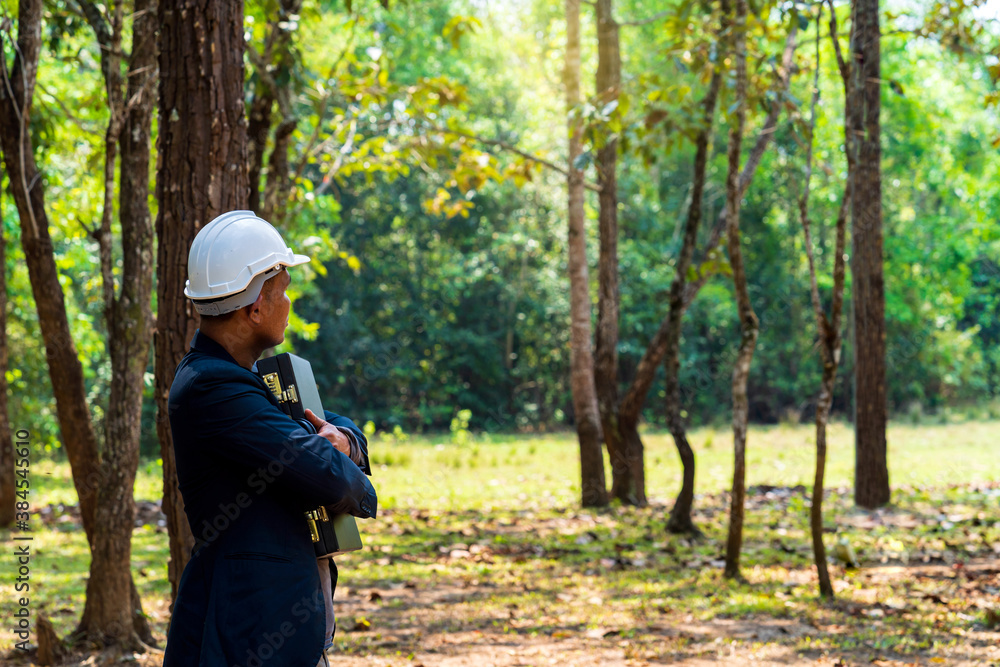 Businessmen or investors planning to cut forests to build tourist attractions. Businessmen or investors planning to cut forests to build tourist attractions.