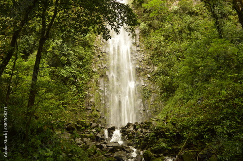 The cloud forests and waterfalls outside Arenal in Costa Rica  Central America