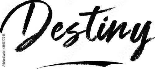 Destiny Female name Modern Brush Calligraphy on White Background