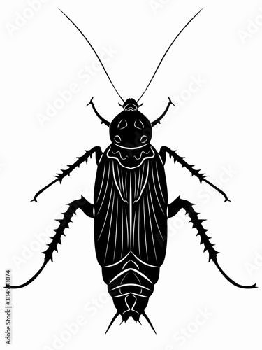 illustration of cockroach , vector draw