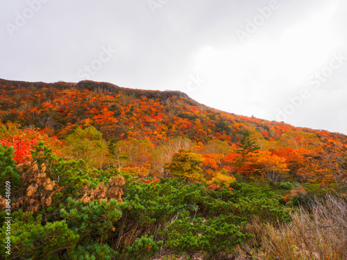 Mountain covered with autumn leaves (Tochigi, Japan)