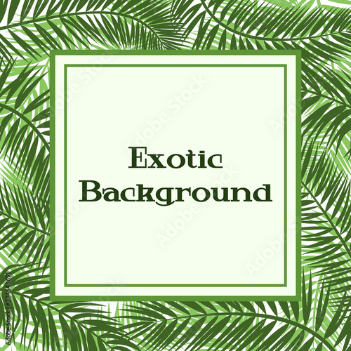 Floral Background, Green Tropical Palm Tree Leaves and Frame. Vector