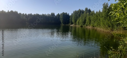 lake in the forest