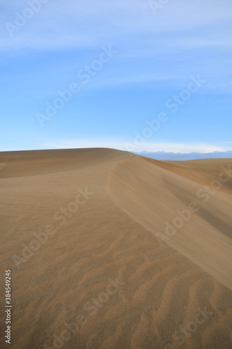 Sand dunes landscape in the desert without people. © Andrea
