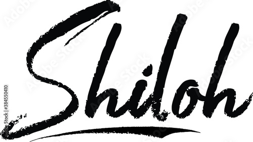 Shiloh Female name Modern Brush Calligraphy on White Background