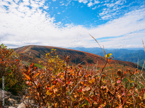 Mountain covered with autumn leaves (Tochigi, Japan) photo