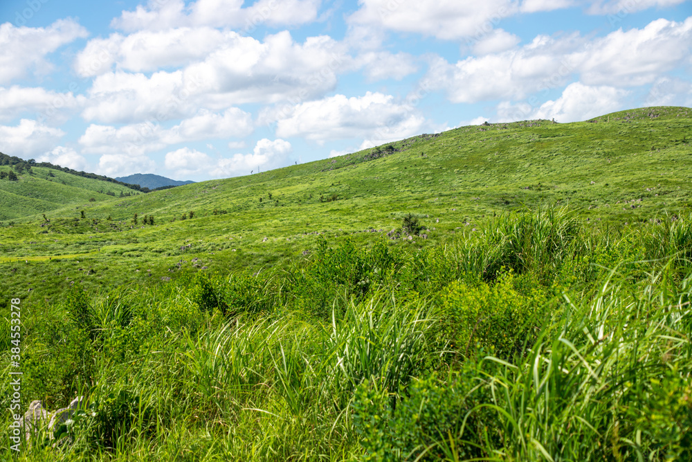 The landscape of Akiyoshi plateau in Akiyoshidai Kokutei Koen (Akiyoshidai Quasi-National Park) in Yamaguchi Prefecture, Japan.