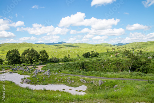 The landscape of Akiyoshi plateau in Akiyoshidai Kokutei Koen (Akiyoshidai Quasi-National Park) in Yamaguchi Prefecture, Japan. photo